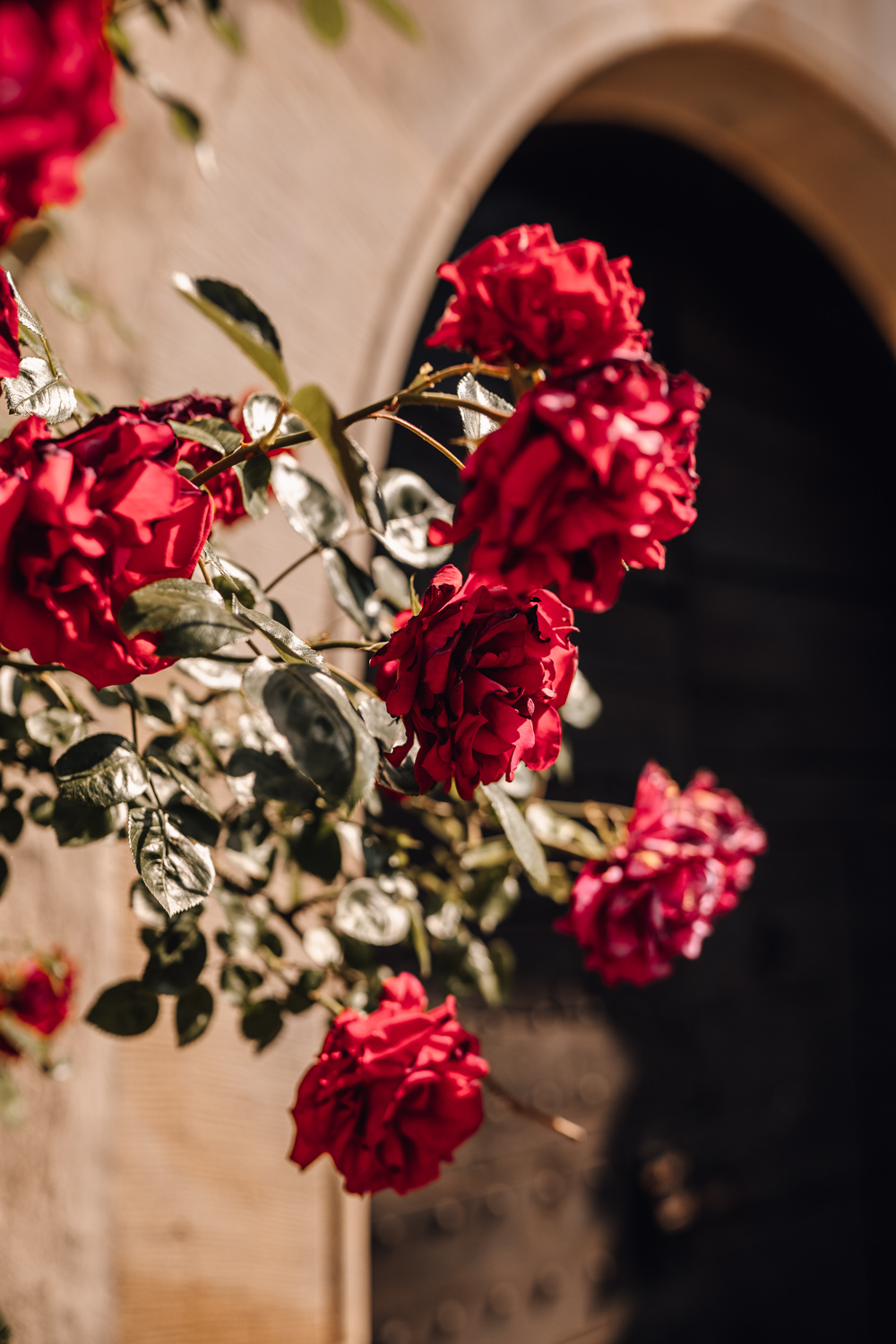 Gartenhochzeit Hochzeitsfotograf Osnabrück Hochzeitsfotografin Osnabrück Freie Trauungen Osnabrück Julian Hügelmeyer Osnabrück Hochzeitslocation Osnabrück Hochzeitsfotograf Münster Hochzeitsfotograf Hochzeitsfotograf Haus Marck standesamtliche Trauung Osnabrück Hochzeit Lockdown Hochzeit Corona Hochzeitsfotograf Ostbevern Lichterglanz Fotografie Wild Daisy Wedding Brautmomente von Frau Lehmann Sommerhochzeit Hochzeitsblog Mit Liebe kreiert Jakob J. Lübke