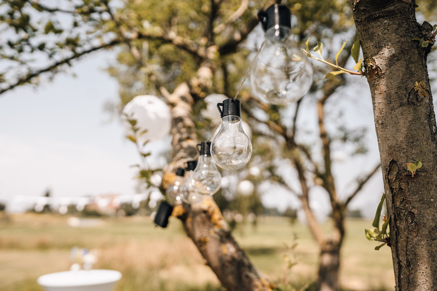 Gartenhochzeit Hochzeitsfotograf Osnabrück Hochzeitsfotografin Osnabrück Freie Trauungen Osnabrück Julian Hügelmeyer Osnabrück Hochzeitslocation Osnabrück Hochzeitsfotograf Münster Hochzeitsfotograf Hochzeitsfotograf Haus Marck standesamtliche Trauung Osnabrück Hochzeit Lockdown Hochzeit Corona Hochzeitsfotograf Ostbevern Lichterglanz Fotografie Wild Daisy Wedding Brautmomente von Frau Lehmann Sommerhochzeit Hochzeitsblog Mit Liebe kreiert Jakob J. Lübke