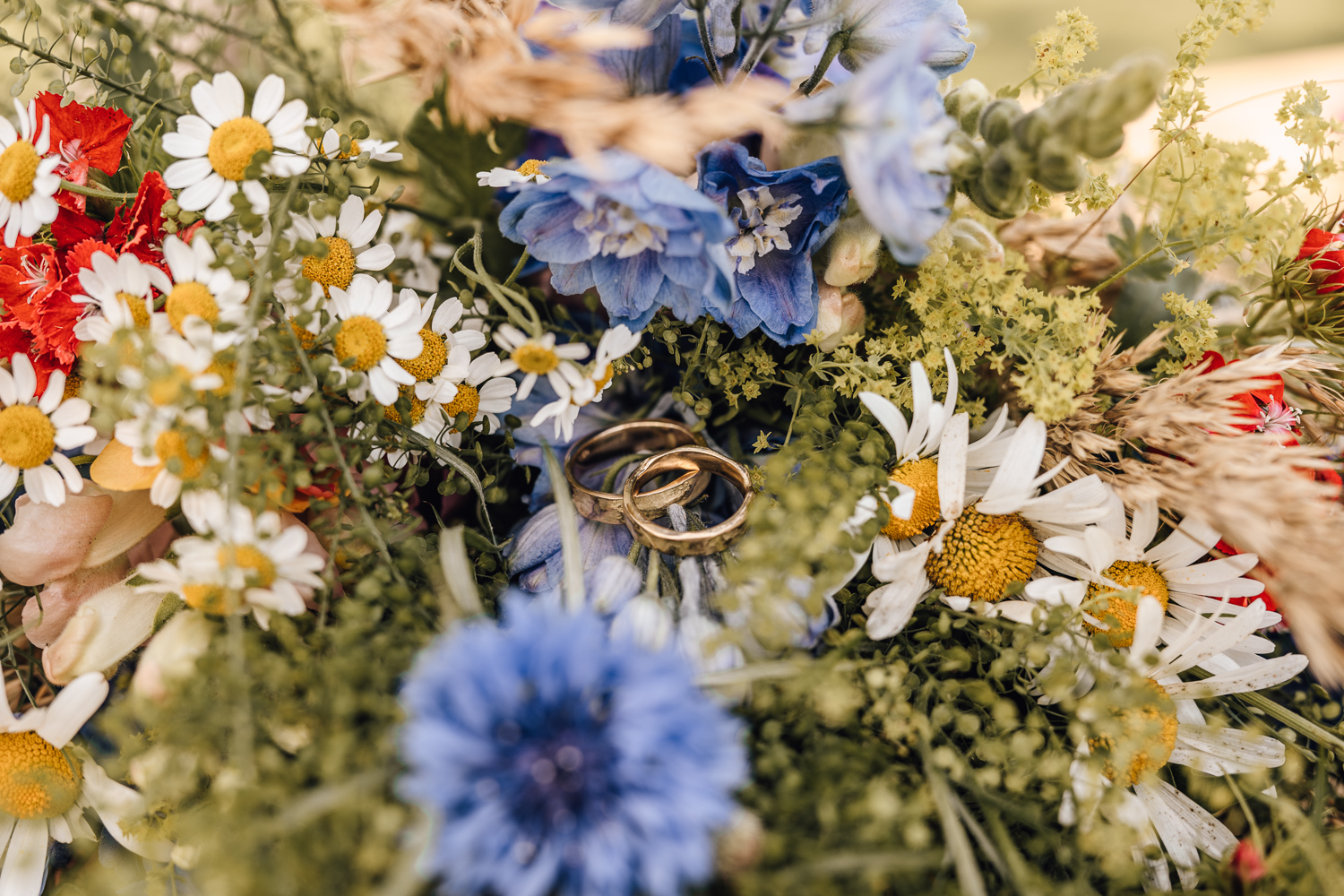 Gartenhochzeit Hochzeitsfotograf Osnabrück Hochzeitsfotografin Osnabrück Freie Trauungen Osnabrück Julian Hügelmeyer Osnabrück Hochzeitslocation Osnabrück Hochzeitsfotograf Münster Hochzeitsfotograf Hochzeitsfotograf Haus Marck standesamtliche Trauung Osnabrück Hochzeit Lockdown Hochzeit Corona Hochzeitsfotograf Ostbevern Lichterglanz Fotografie Wild Daisy Wedding Brautmomente von Frau Lehmann Sommerhochzeit Hochzeitsblog Mit Liebe kreiert Jakob J. Lübke